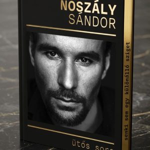 Noszály Sándor: Ütős sors